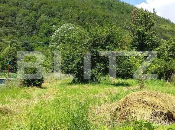 Casa de vânzare 4 camere Nord Est - 107589CV | BLITZ Târgu Jiu | Poza9