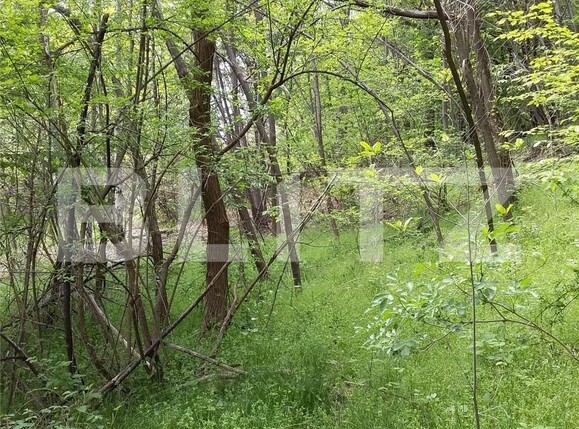 Casa de vânzare 4 camere Nord Est - 107589CV | BLITZ Târgu Jiu | Poza11