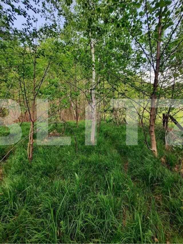 Casa de vânzare 4 camere Nord Est - 107589CV | BLITZ Târgu Jiu | Poza10