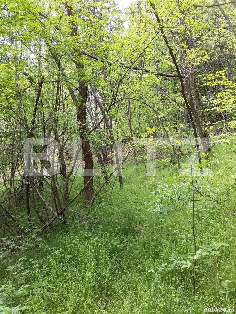 Casa de vânzare 4 camere Nord Est - 107589CV | BLITZ Târgu Jiu | Poza11