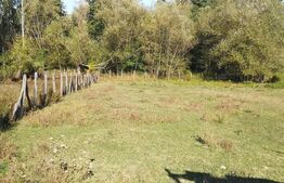 De vanzare casa si teren in Tismana