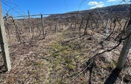 De vanzare casa in comuna Balanesti