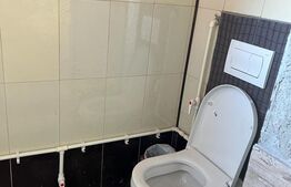 De vanzare casa in comuna Balanesti