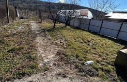 De vanzare casa in comuna Balanesti