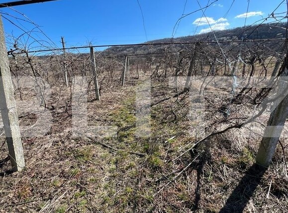 Casa de vânzare 4 camere Exterior Nord - 109468CV | BLITZ Târgu Jiu | Poza10