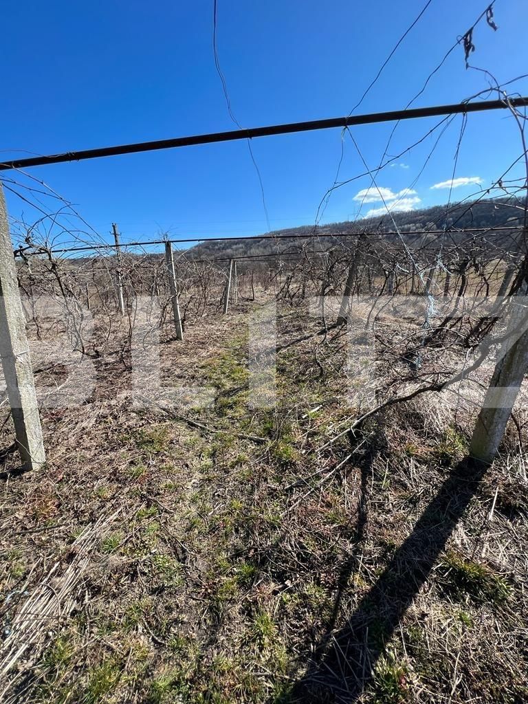 Casa de vânzare 4 camere Exterior Nord - 109468CV | BLITZ Târgu Jiu | Poza10