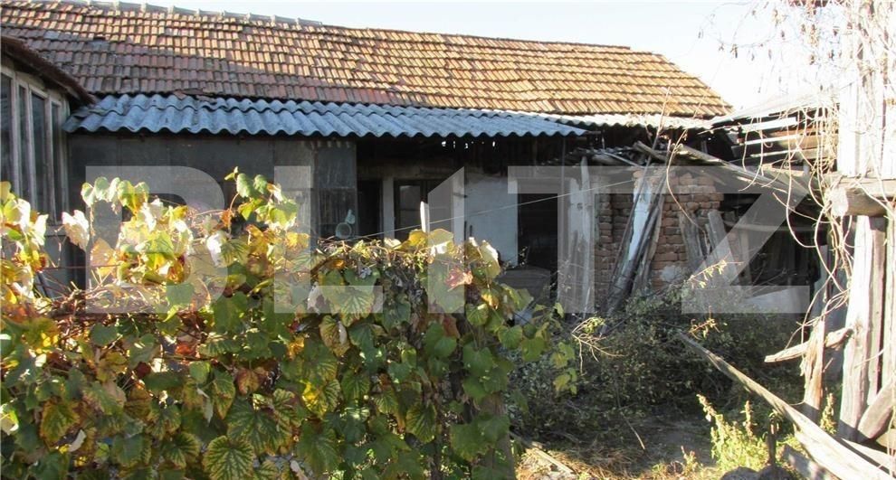 Casa de vânzare 4 camere Exterior Nord - 109559CV | BLITZ Târgu Jiu | Poza3