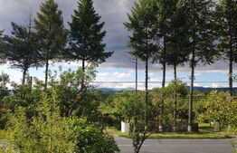 De vanzare proprietate in Bumbesti Pitic