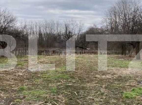 Casa de vânzare 6 camere Vest - 109738CV | BLITZ Târgu Jiu | Poza5