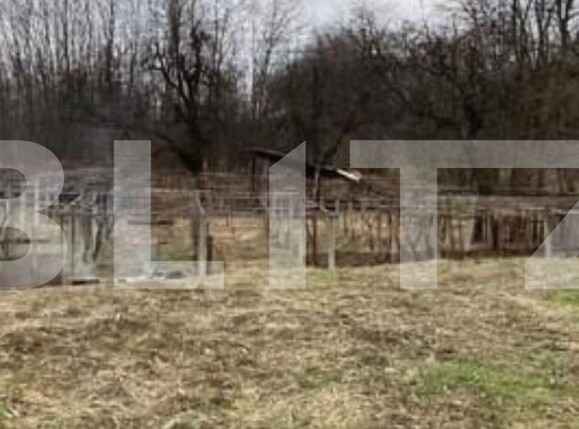 Casa de vânzare 6 camere Vest - 109738CV | BLITZ Târgu Jiu | Poza6