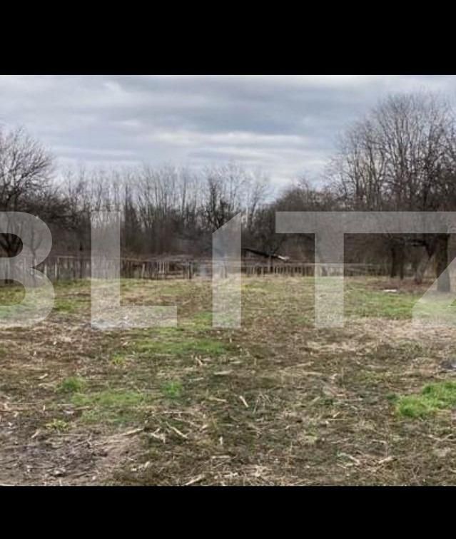 Casa de vânzare 6 camere Vest - 109738CV | BLITZ Târgu Jiu | Poza5