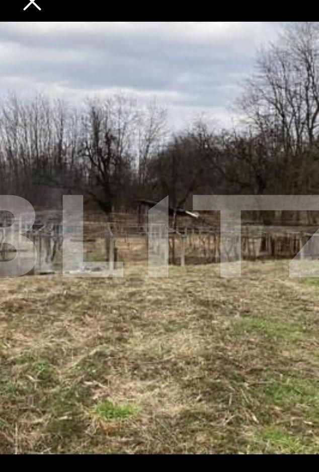 Casa de vânzare 6 camere Vest - 109738CV | BLITZ Târgu Jiu | Poza6