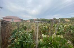 Case si Teren in comuna Scoarta