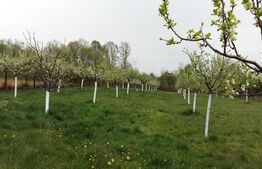 Case si Teren in comuna Scoarta