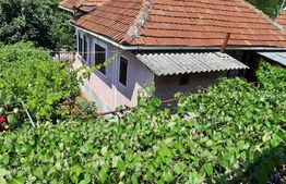 Case si Teren in comuna Scoarta