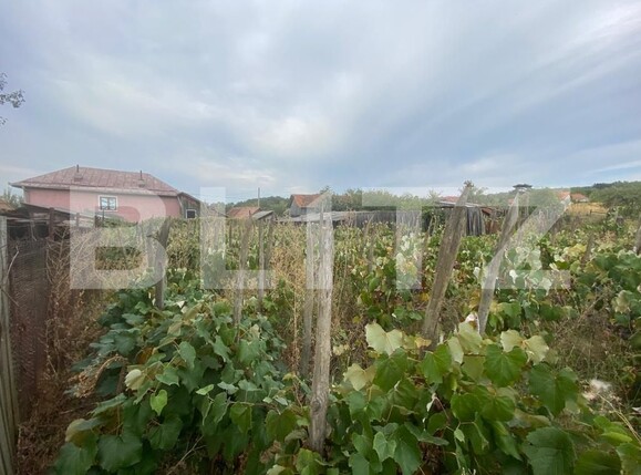 Casa de vânzare 7 camere Exterior Sud - 109879CV | BLITZ Târgu Jiu | Poza14