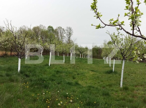 Casa de vânzare 7 camere Exterior Sud - 109879CV | BLITZ Târgu Jiu | Poza13