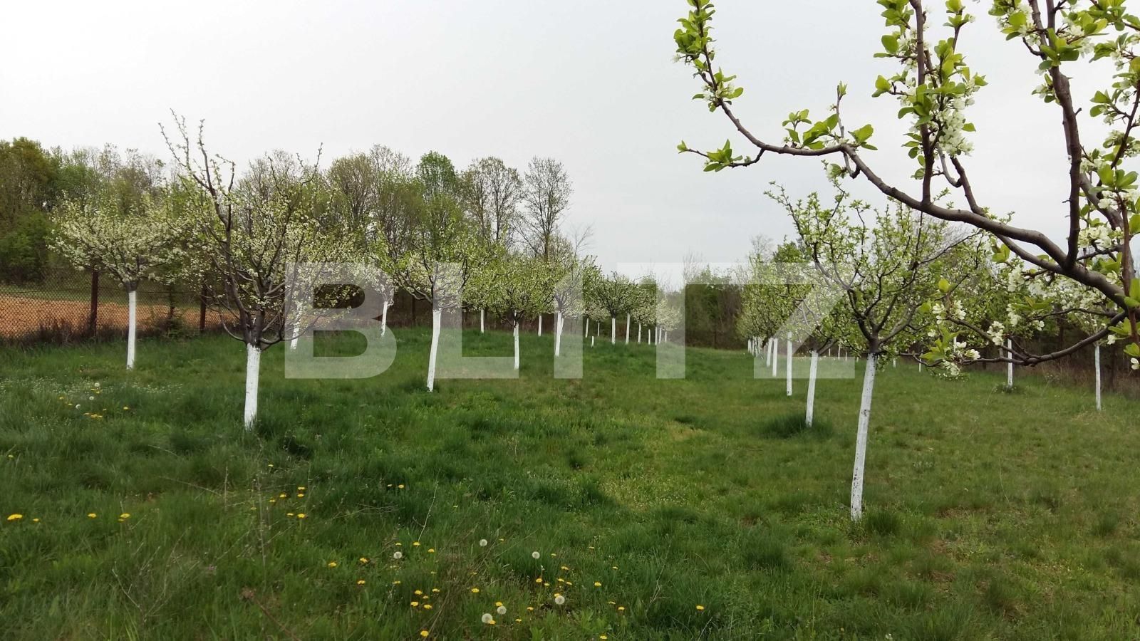 Casa de vânzare 7 camere Exterior Sud - 109879CV | BLITZ Târgu Jiu | Poza13