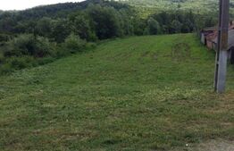 Teren, 6100MP,  Comuna Balanesti