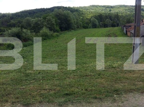 Teren de vânzare Exterior Est - 111457TV | BLITZ Târgu Jiu | Poza3