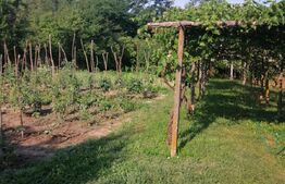 Casa 4 camere, 80mp, comuna Lelesti