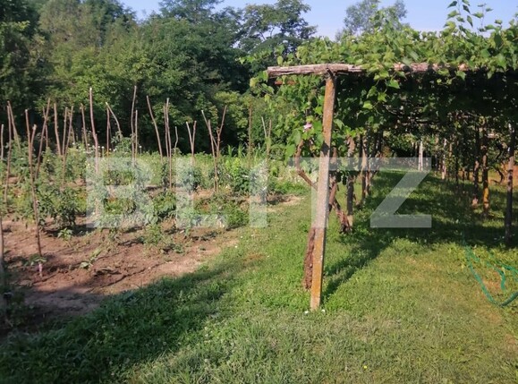 Casa de vânzare 4 camere Exterior Vest - 111976CV | BLITZ Târgu Jiu | Poza15