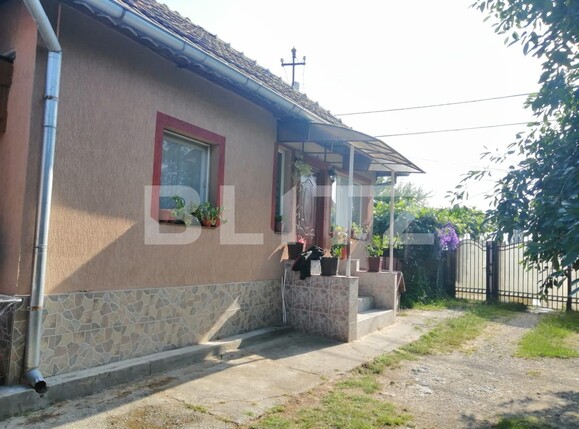 Casa de vânzare 4 camere Exterior Vest - 111976CV | BLITZ Târgu Jiu | Poza1