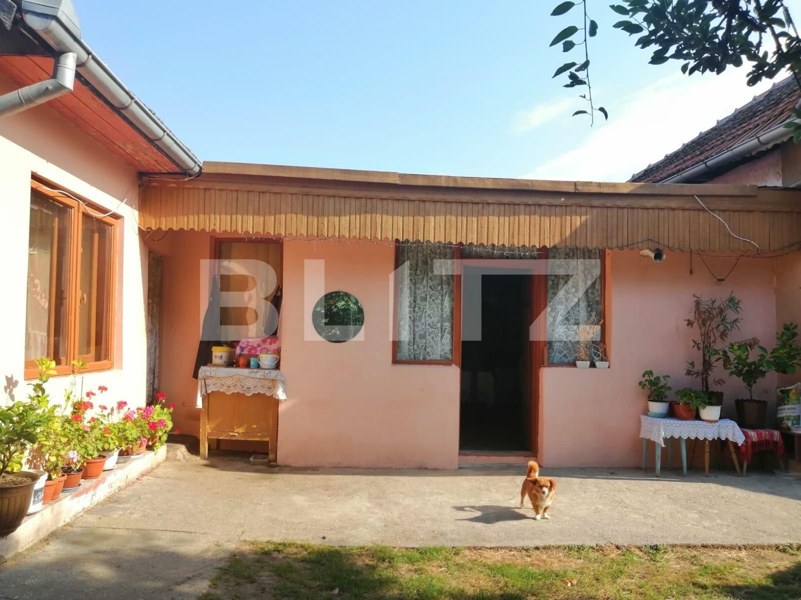 Casa de vânzare 4 camere Exterior Vest - 111976CV | BLITZ Târgu Jiu | Poza3