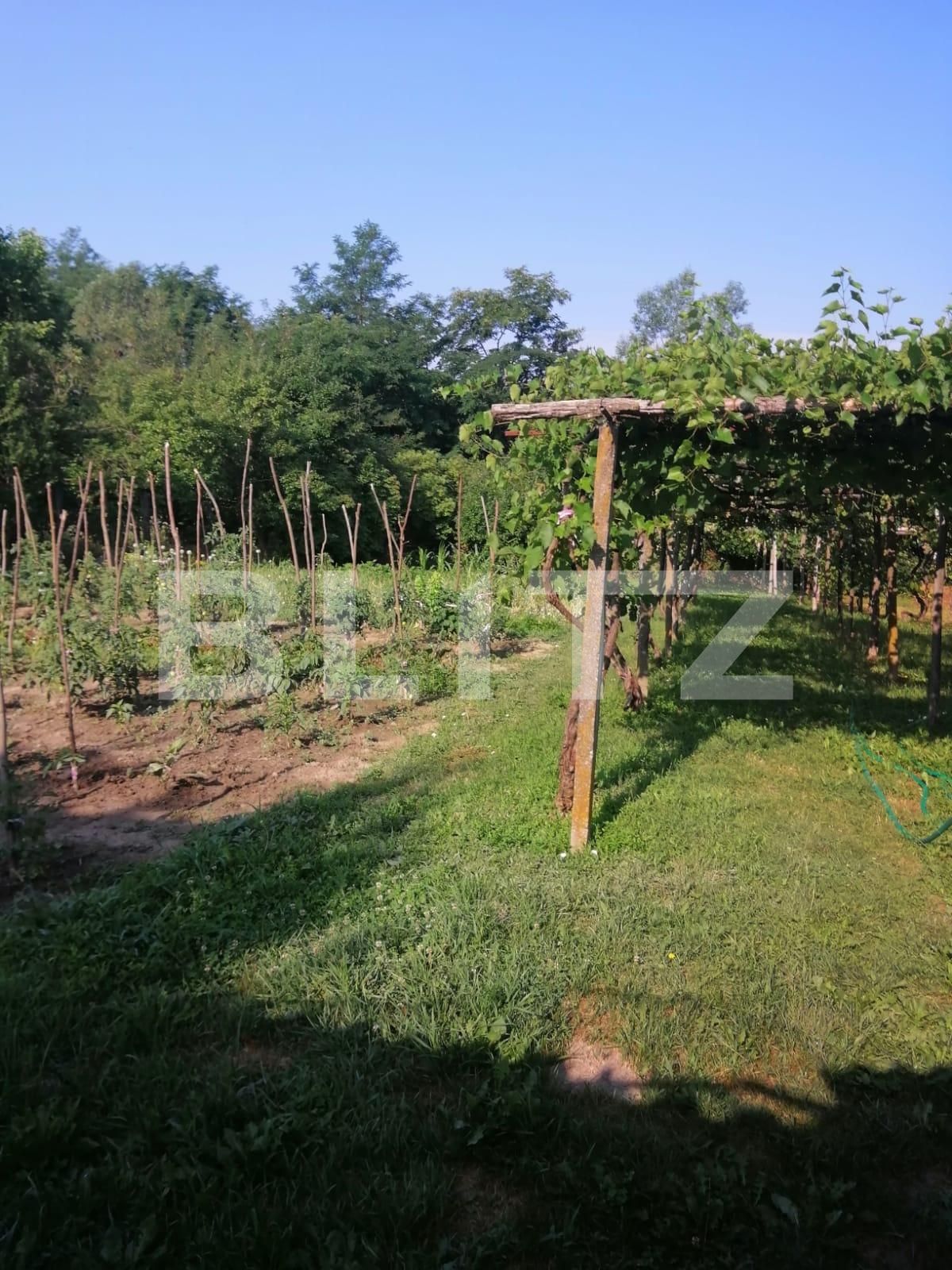 Casa de vânzare 4 camere Exterior Vest - 111976CV | BLITZ Târgu Jiu | Poza15