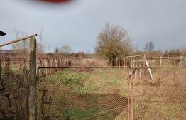 Casa 3 camere, 85mp, Bradiceni