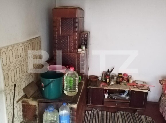 Casa de vânzare 3 camere Exterior Vest - 113312CV | BLITZ Târgu Jiu | Poza13