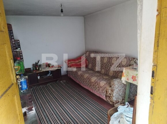 Casa de vânzare 3 camere Exterior Vest - 113312CV | BLITZ Târgu Jiu | Poza10