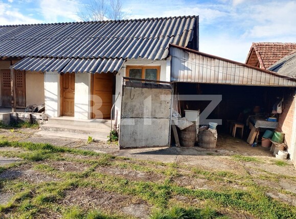 Casa de vânzare 3 camere Exterior Vest - 113312CV | BLITZ Târgu Jiu | Poza11