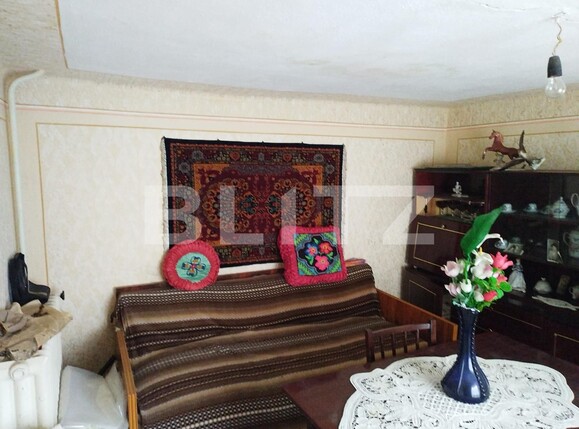 Casa de vânzare 3 camere Exterior Vest - 113312CV | BLITZ Târgu Jiu | Poza5