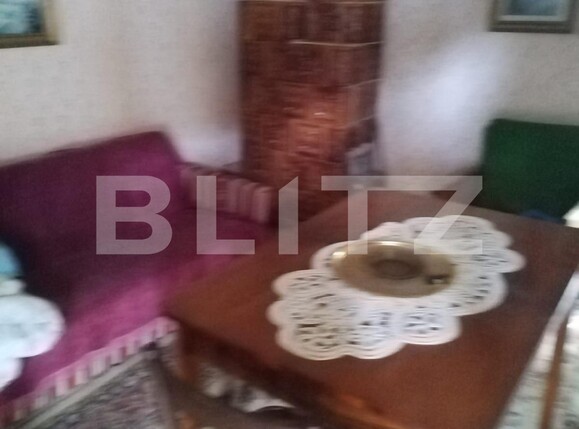 Casa de vânzare 3 camere Exterior Vest - 113312CV | BLITZ Târgu Jiu | Poza4