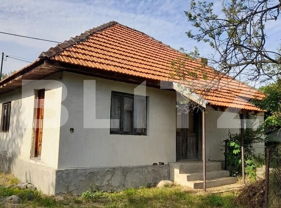 Casa de vânzare 2 camere Exterior Est - 113492CV | BLITZ Târgu Jiu | Poza1