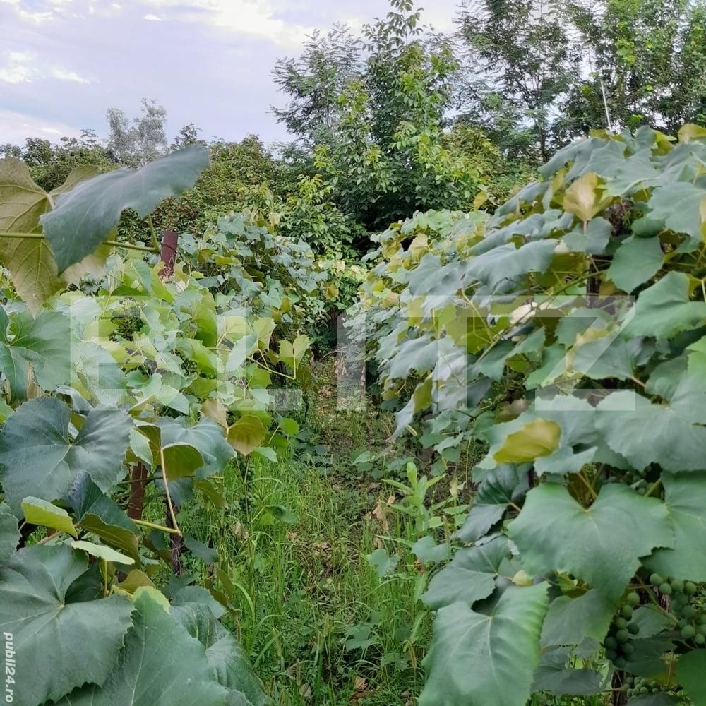 Casa de vânzare 2 camere Exterior Est - 113492CV | BLITZ Târgu Jiu | Poza5