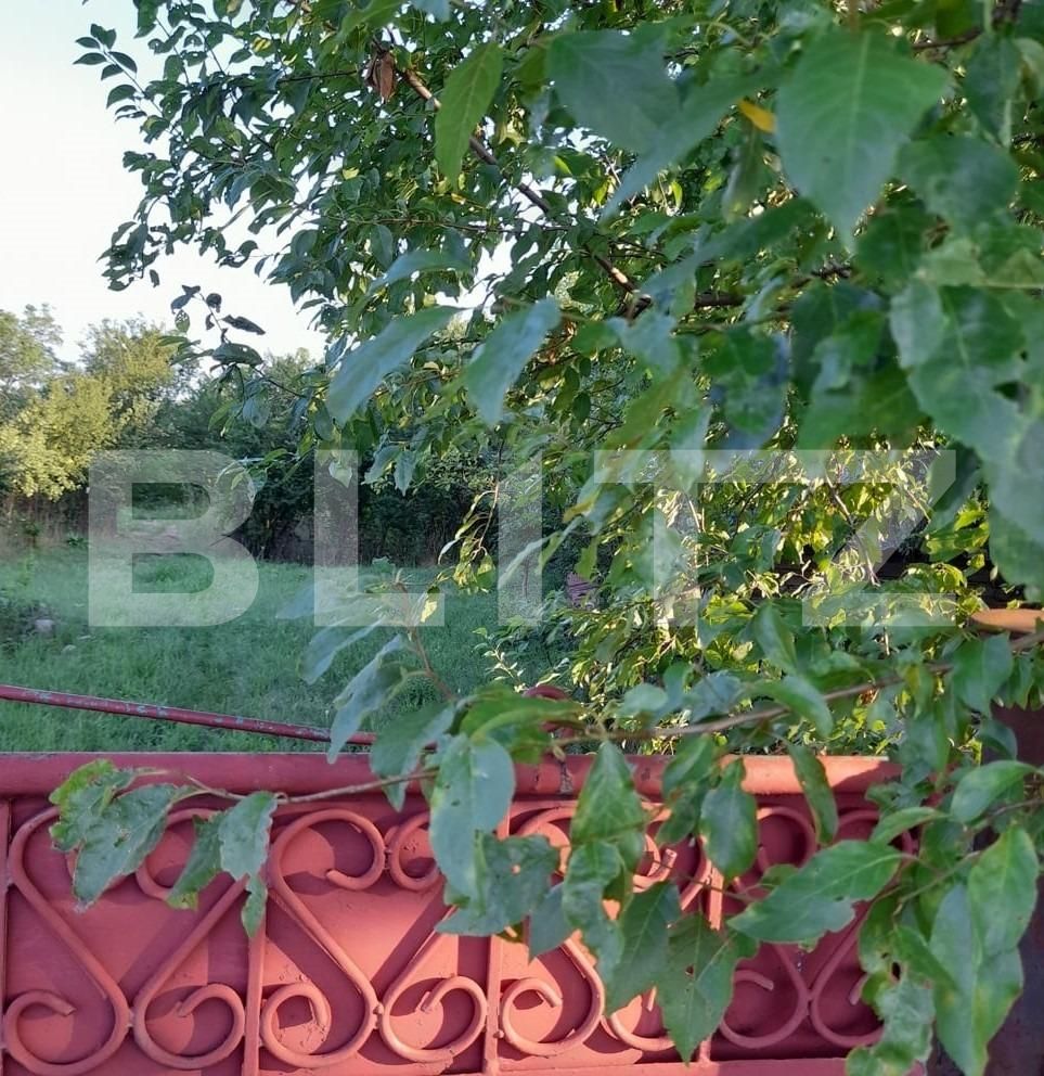 Casa de vânzare 2 camere Exterior Est - 113492CV | BLITZ Târgu Jiu | Poza4