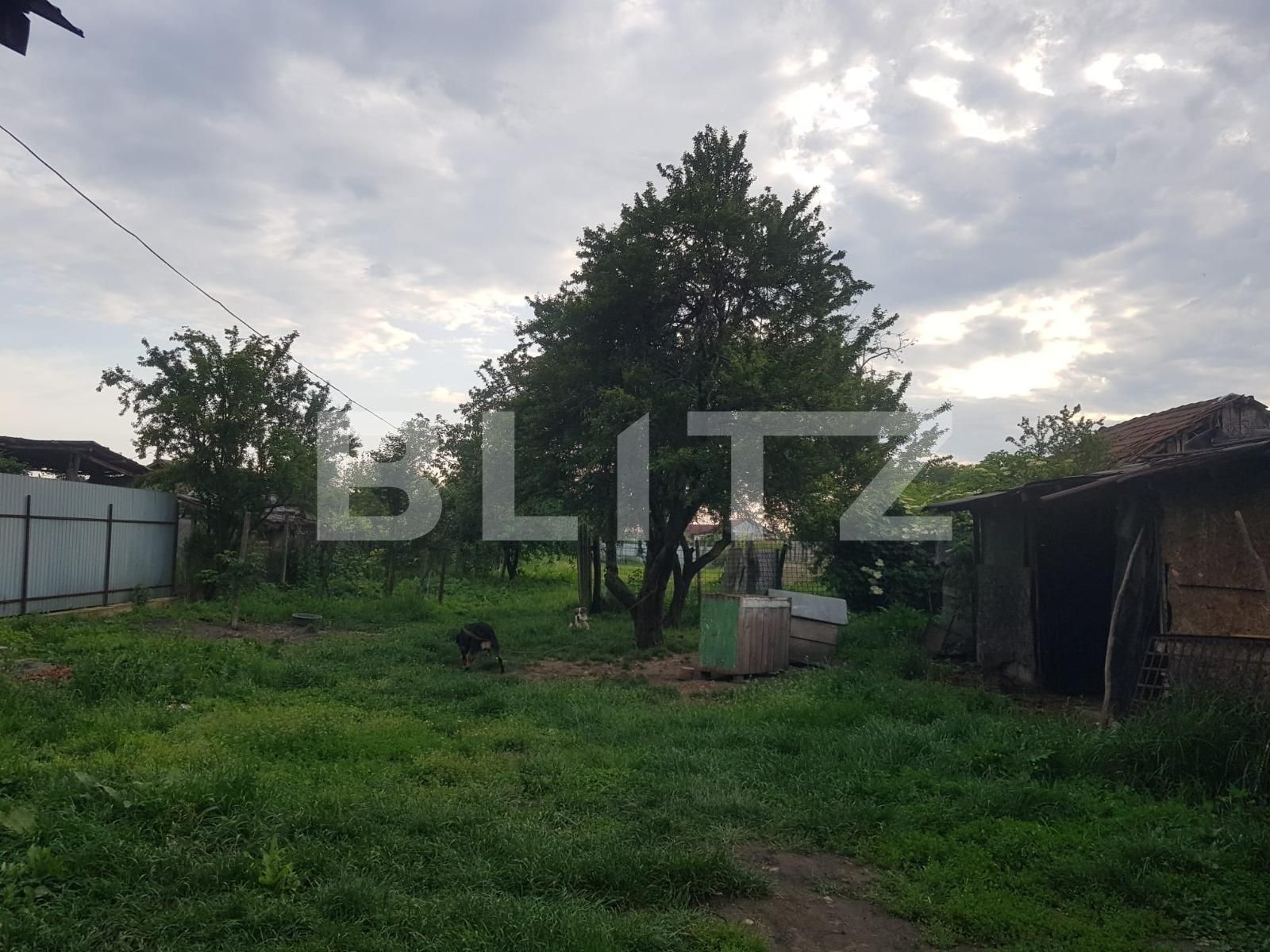 Casa de vânzare 5 camere Sud Vest - 113760CV | BLITZ Târgu Jiu | Poza4