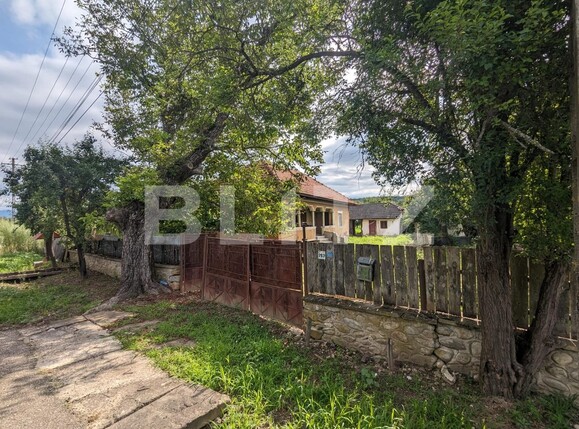 Casa de vânzare 3 camere Exterior Vest - 117299CV | BLITZ Târgu Jiu | Poza3