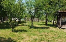 Teren intravilan, 2900 mp,  Comuna Danesti 