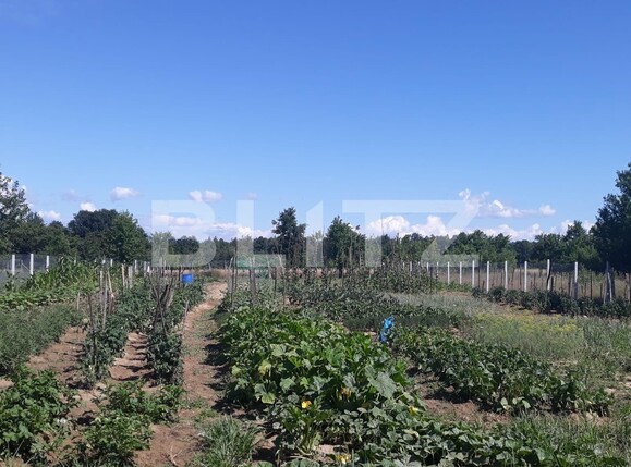 Teren de vânzare Exterior Sud - 119411TV | BLITZ Târgu Jiu | Poza3