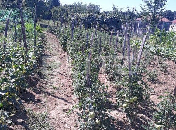 Teren de vânzare Exterior Sud - 119411TV | BLITZ Târgu Jiu | Poza4