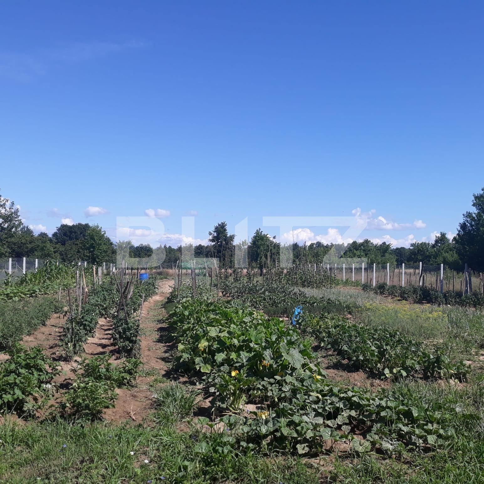 Teren de vânzare Exterior Sud - 119411TV | BLITZ Târgu Jiu | Poza3