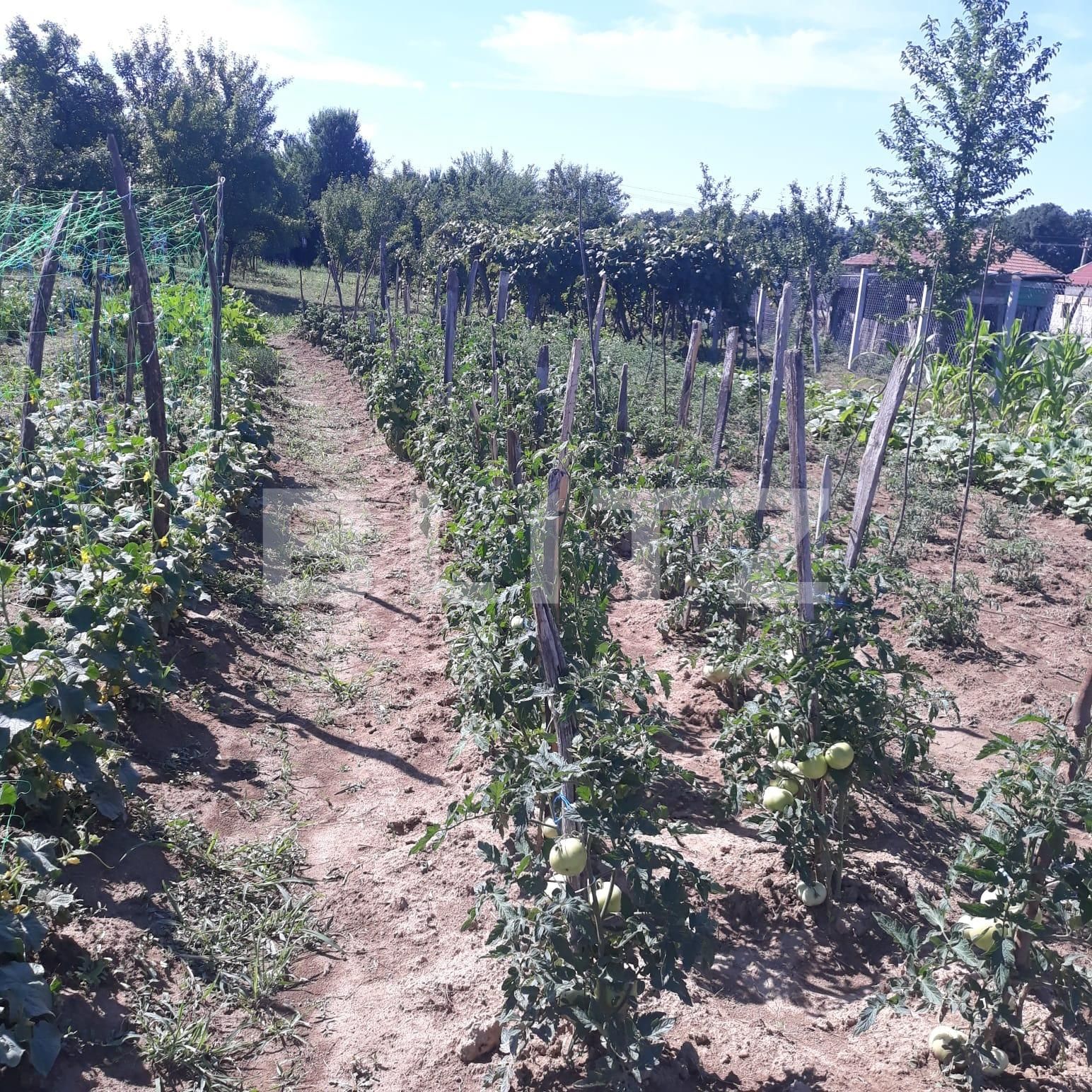 Teren de vânzare Exterior Sud - 119411TV | BLITZ Târgu Jiu | Poza4