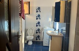 Apartament 3 camere, decomandat, 67mp, curte proprie 80mp