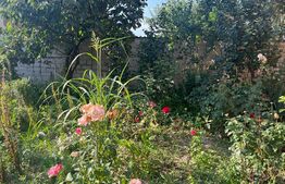 Apartament 3 camere, decomandat, 67mp, curte proprie 80mp