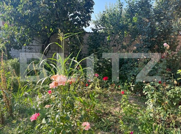 Apartament de vânzare 3 camere Victoria - 120146AV | BLITZ Târgu Jiu | Poza11