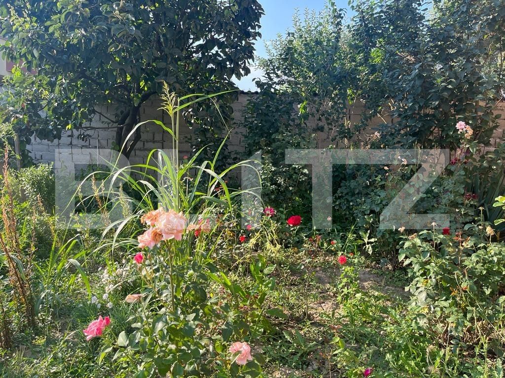 Apartament de vânzare 3 camere Victoria - 120146AV | BLITZ Târgu Jiu | Poza11