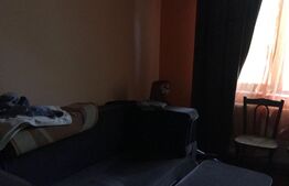 Pensiune + Teren, 5 camere, 130mp, Schela